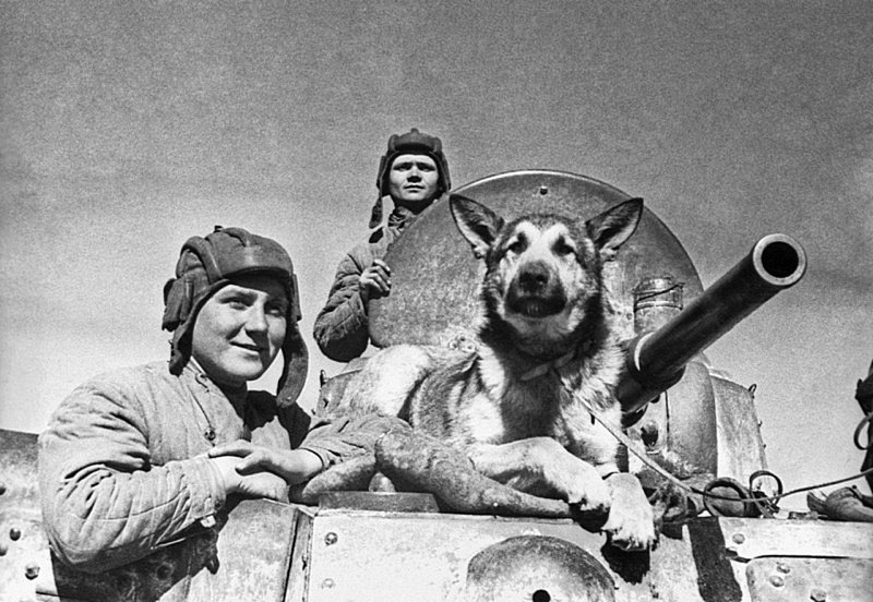 Экипаж советского бронеавтомобиля БА-10: старший сержант Евгений Петрович Эндрексон (год рождения — 1923), сержант В.П. Ершаков и овчарка Джульбарс. Южный фронт.
