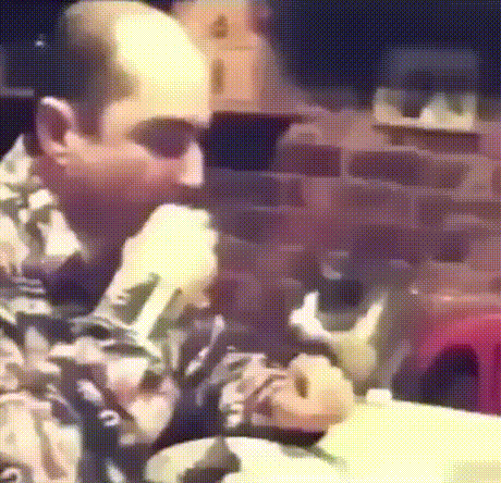 Кот показывает на языке глухонемых