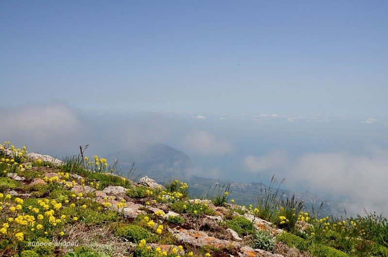 Крымский заповедник