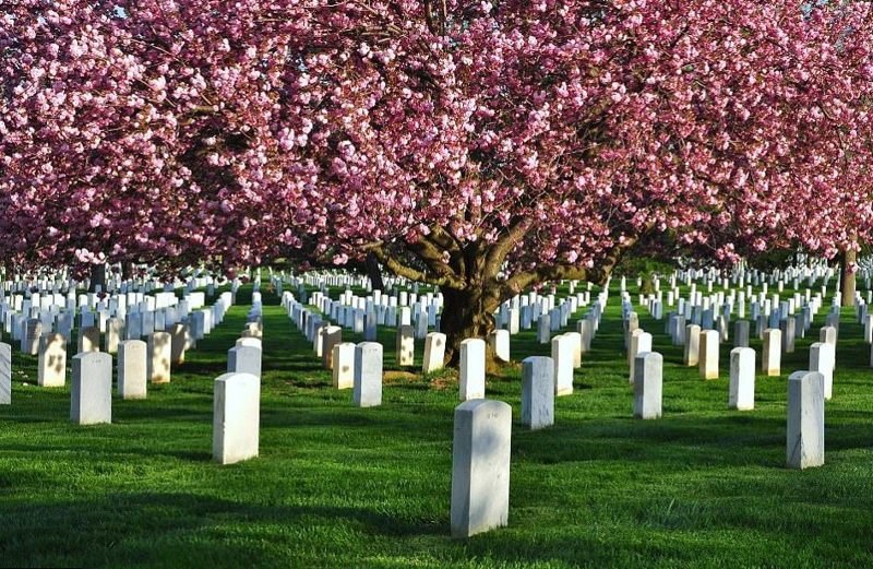Арлингтонское кладбище - Вирджиния, США