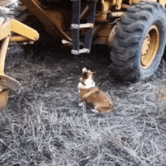 Подборка автомобильных гифок Подборка автомобильных гифок