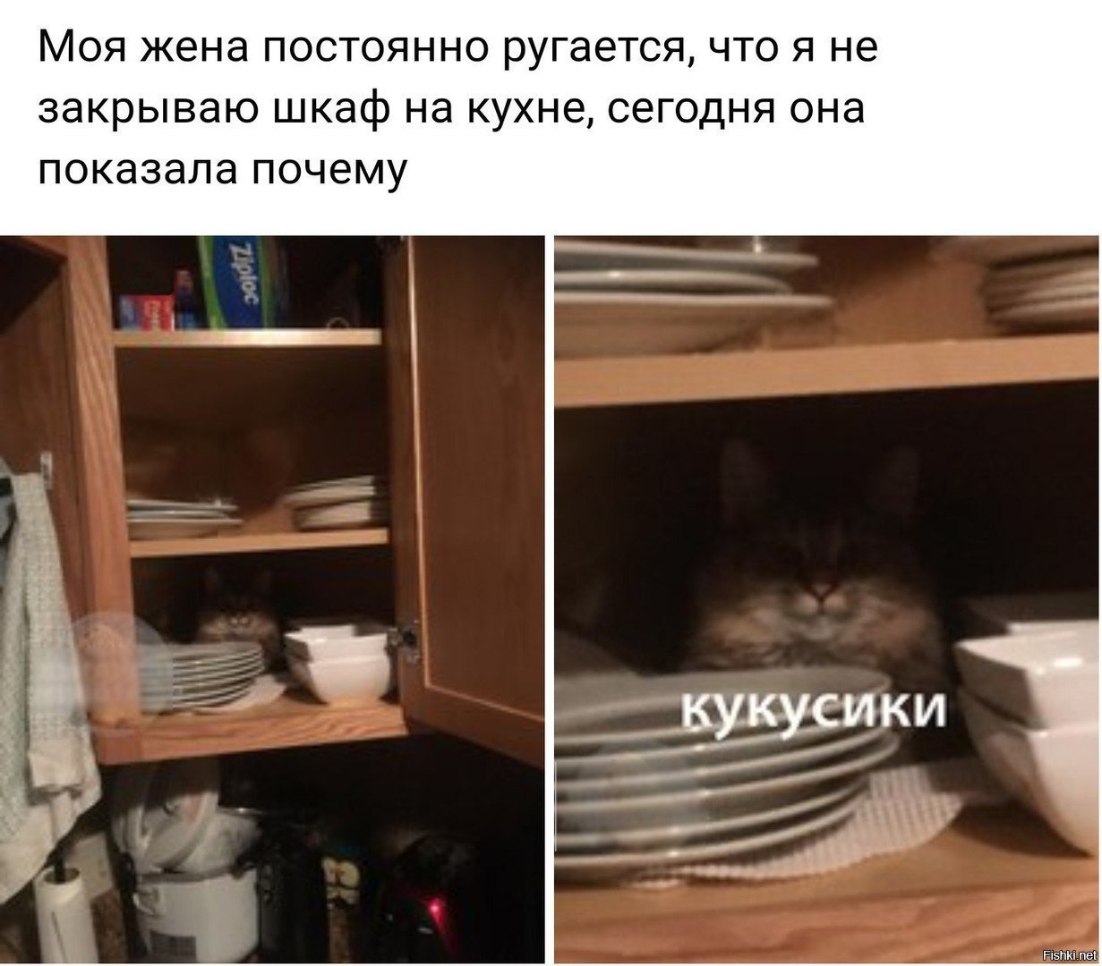 Кукусики картинки прикольные смешные