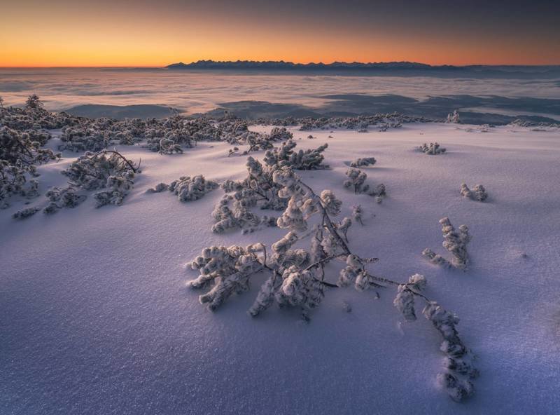 Невероятная красота зимней Польши
