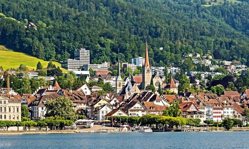 Тем временем уже полгода швейцарский городок принимает к оплате госуслуг криптовалюту