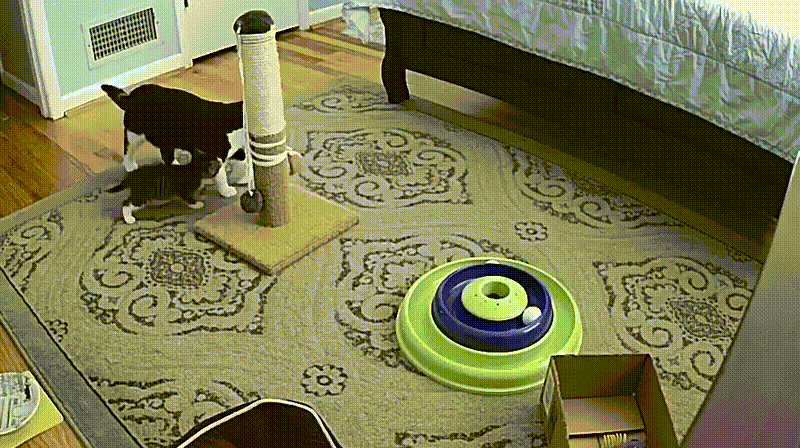 http://cdn.fishki.net/upload/post/2017/12/12/2455409/3699d05fc4c5b917ee690c21eb294763.gif
