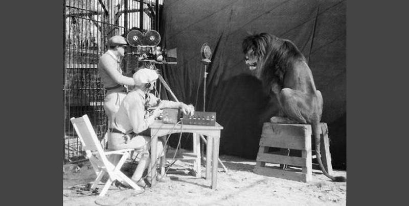 За кадром: лев Лео - легендарный символ голливудской киностудии "Metro Goldwyn Mayer".