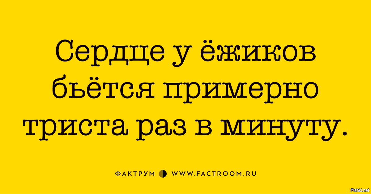 Сердце ежа бьется 300 раз в минуту. Триста раз.