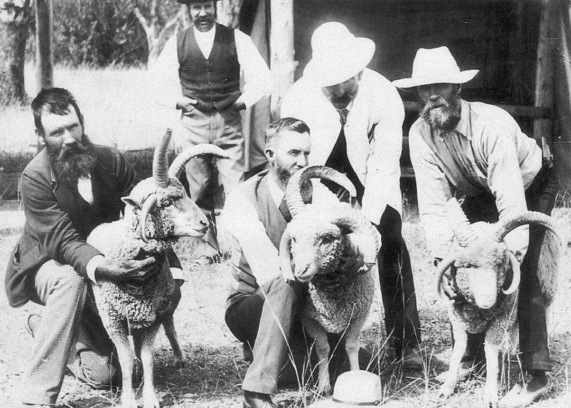 Австралийцы и их домашние животные в начале ХХ века