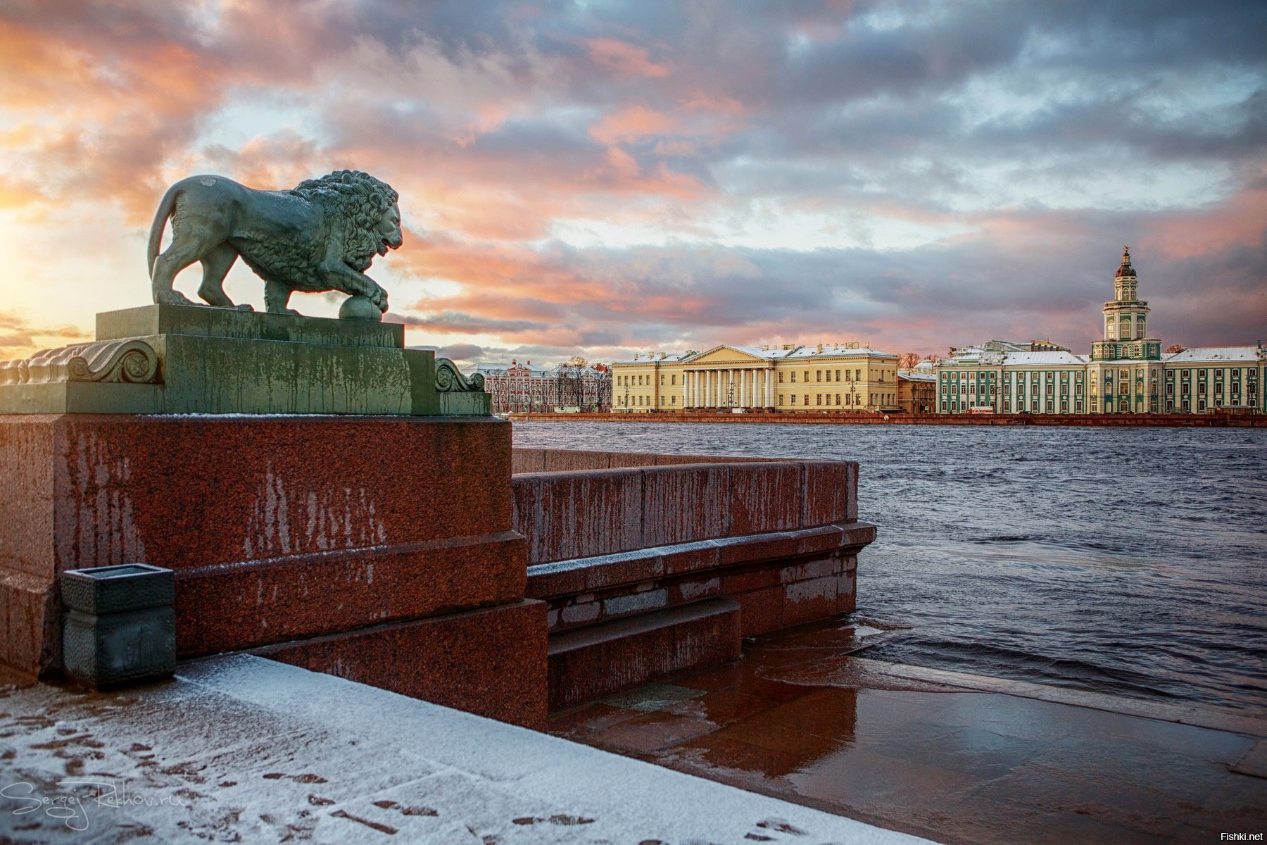 Львы на набережной в Санкт-Петербурге