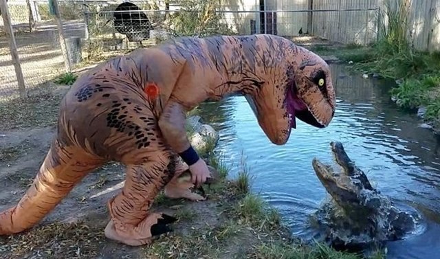 7. Костюм динозавра для игры с крокодилами