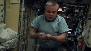 Гифки дня Гифки дня