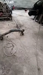 Гифки дня Гифки дня