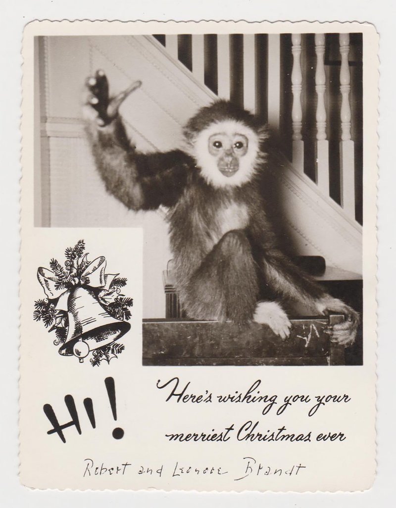 Питомцы в рождественских семейных открытках прошлого века