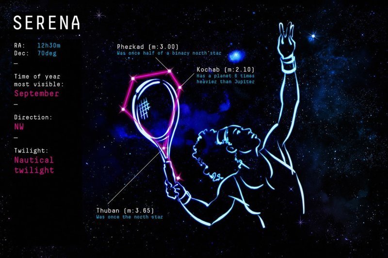 Серена Уильямс — теннисистка  