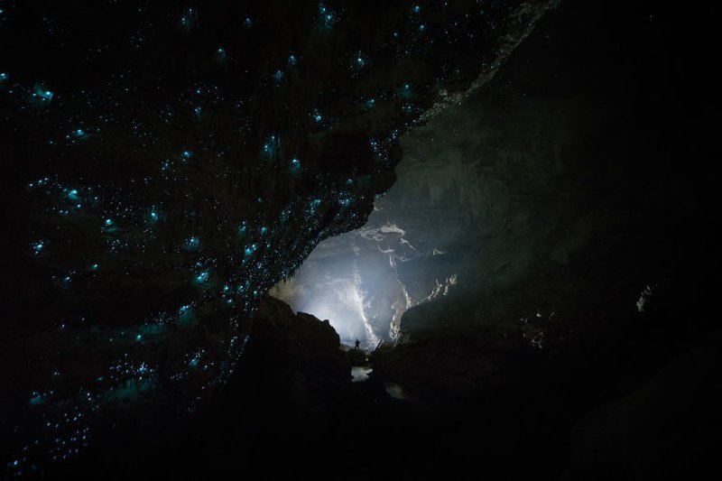 Чудеса Новой Зеландии: светлячки превратили своды пещер Вайтомо в звездное небо