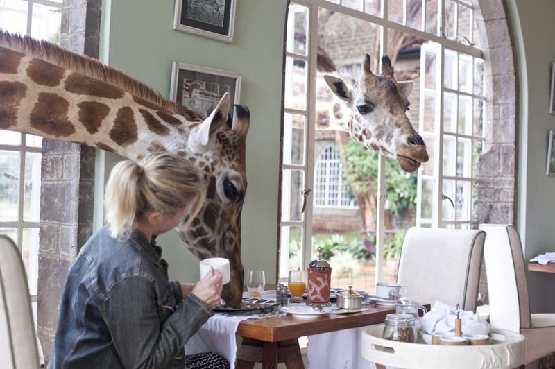 10. Giraffe Manor, Найроби, Кения