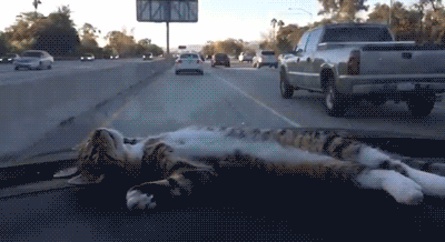 Подборка автомобильных гифок Подборка автомобильных гифок