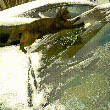 Сейчас все почистим