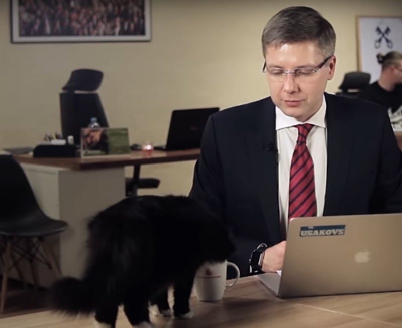 5 место: черный котик, завсегдатай рижской городской думы, который поучаствовал в сеансе онлайн-общения мэра Нила Ушакова с горожанами