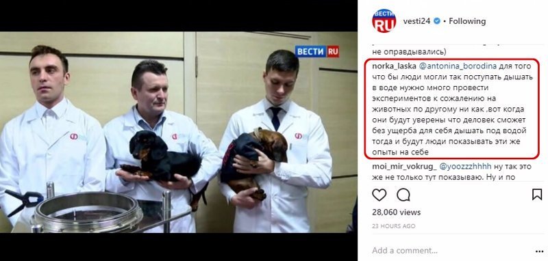 Рогозин об эксперименте с "утоплением" таксы: все собаки живы и здоровы