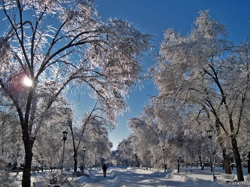 Волгоград зимой фото