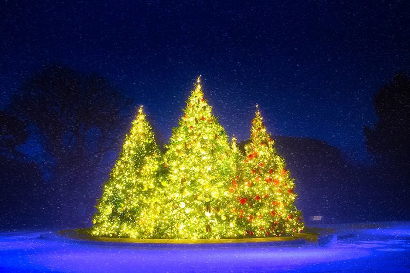 В Нью-Йоркском ботаническом саду - просто рождественская сказка
