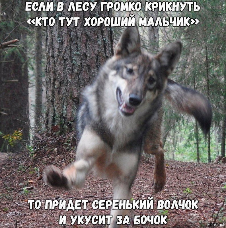 А тот кто крикнул из. Лошадиная фамилия чехов иллюстрации. Мужчина в семье голова а женщина шея. Маленький мальчик на крышу залез. Анекдоты про олега.