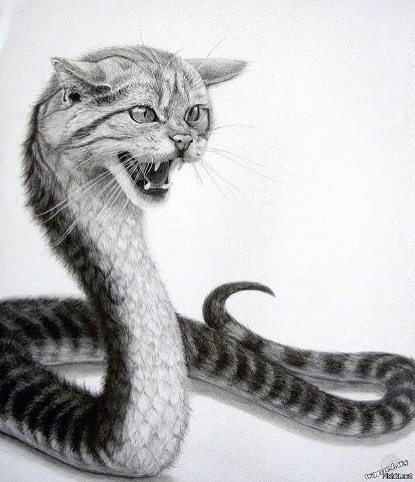 Котозмей