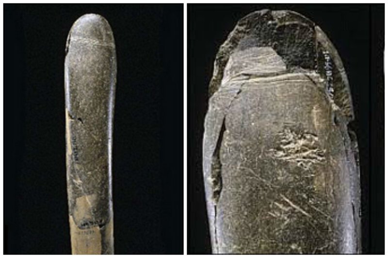Предок вибратора родом из Германии - самому древнему фаллосу из камня 28 тысяч лет (20 см в длину и 3 см в диаметре). Считается древнейшим из найденных на сегодня