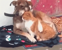 В горе и в радости