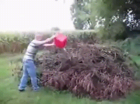 Сейчас все будет
