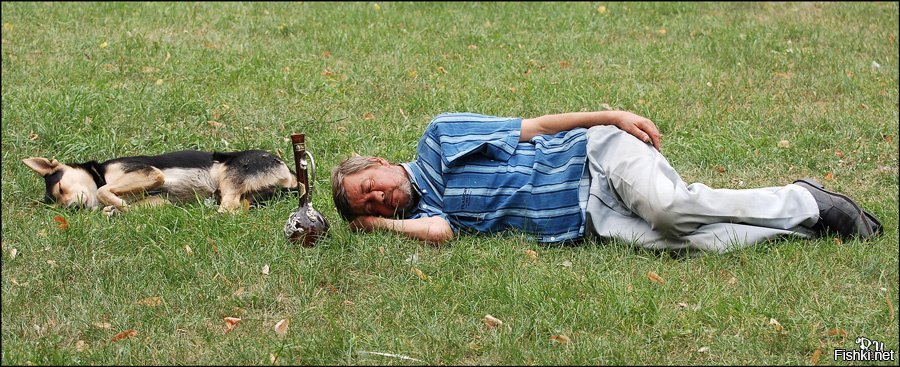 спящие охранники на посту. сон на посту охранника. сторож спит. сонный сторож юмор. заснувшие сторожа чаще.