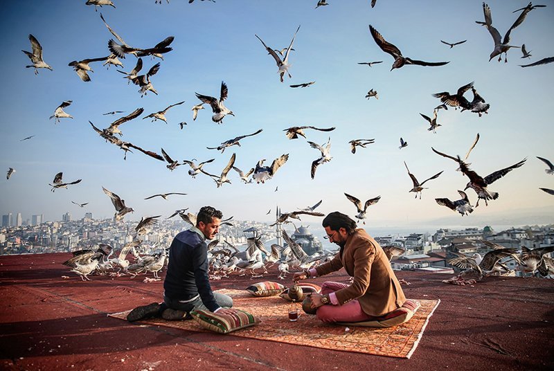 11 ноября, Стамбул, Турция Фото: Sebnem Coskun / Anadolu Agency / Getty Images Владельцы одного из культурных центров в Стамбуле во время завтрака на крыше.