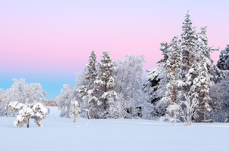 Зимой световой день в Лапландии очень короткий