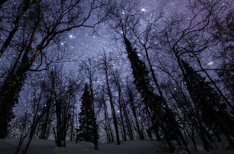 Зимнее звездное небо считается одним из самых красивых. В зенит поднимаются созвездия Ориона и Тельца, можно увидеть две самые знаменитые туманности — Конскую Голову и Туманность Большого Ориона — ее первой из всех удалось сфотографировать астрономам