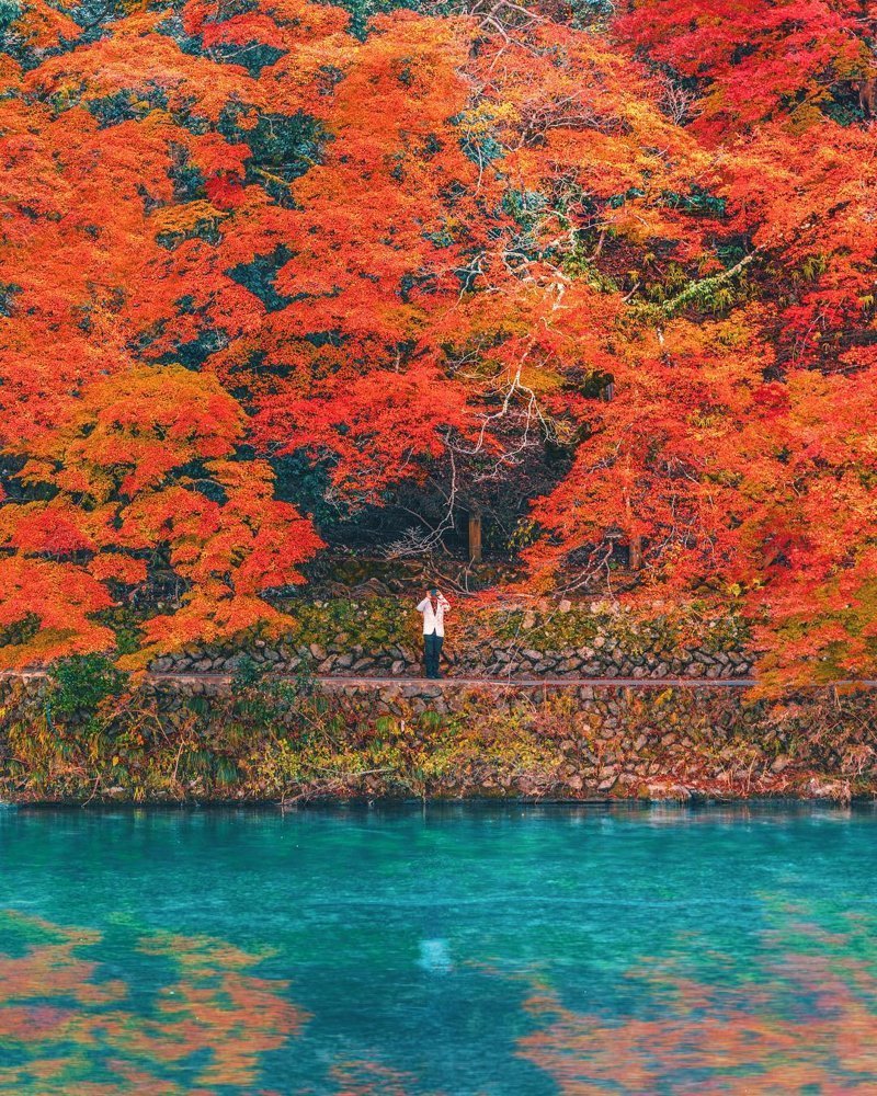 Яркая Япония в фотографиях Наохиро Яко