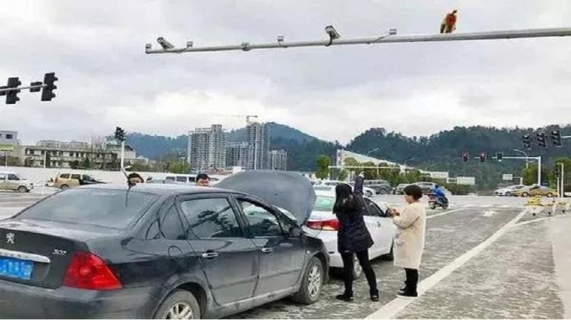 Китаянка устроила ДТП, перепутав зад обезъяны со светофором
