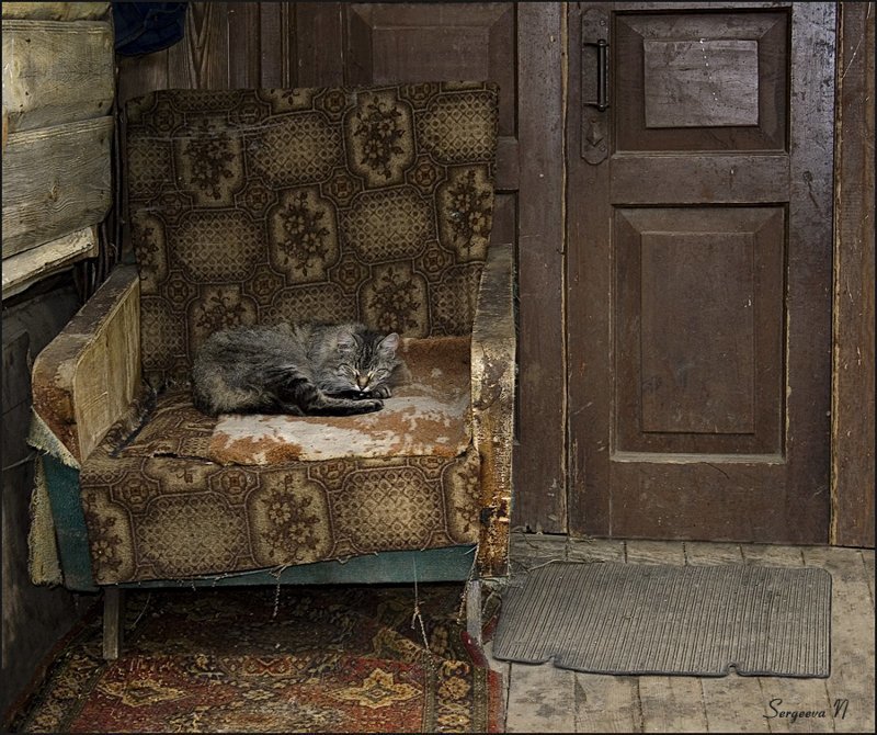 Красиво жить не запретишь: мебель, ковры и другие предметы роскоши в российских дворах