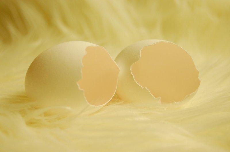 Немного советов по использованию яичной скорлупы в хозяйстве