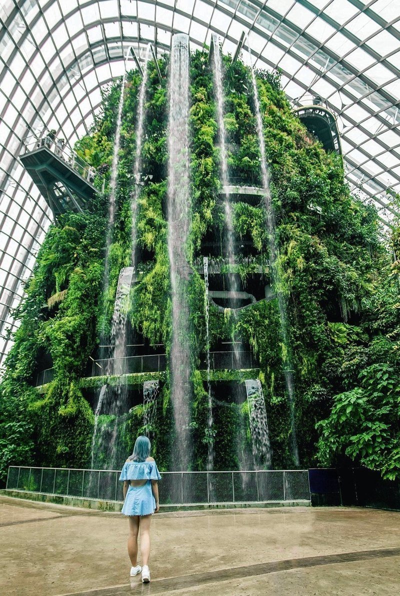 Фотографии Дун больше похожи на открытки, сад "Облачный лес", Сингапур
