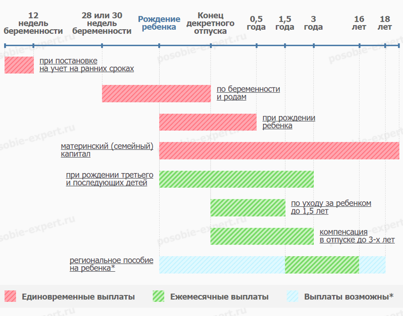 График детских пособий по срокам их оформления и выплаты