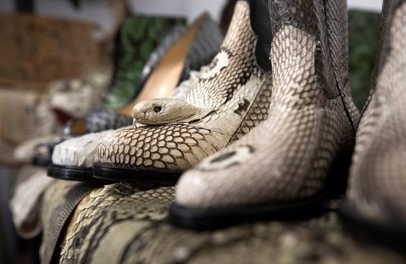 Коллекция обуви из змеиной кожи