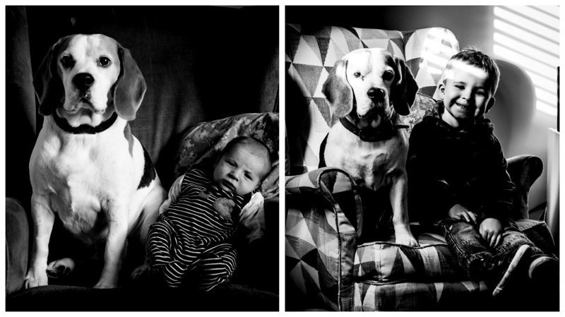 Фотопроект "Мальчик и собака"