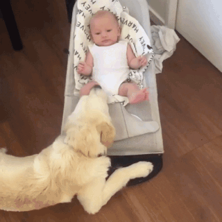 Гифки дня Гифки дня