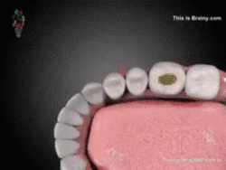 Гифки дня Гифки дня