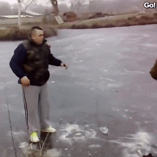 Гифки дня Гифки дня