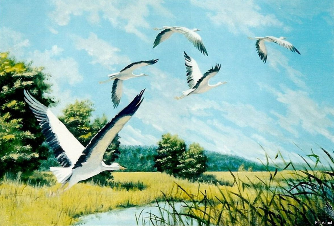 Картина Ивана Тихого Аисты. Пейзаж с журавлями. Рисунок к стихотворению журавли
