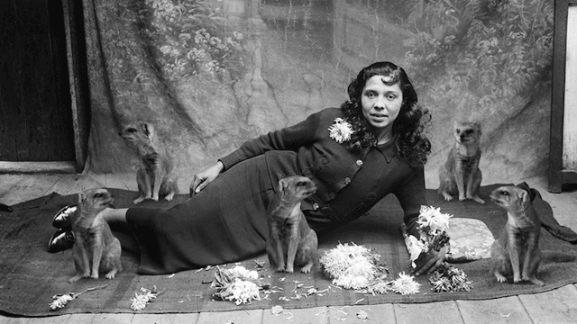 Художник Билл Домонкос создает сюрреалистичные анимации из ретро фотографий