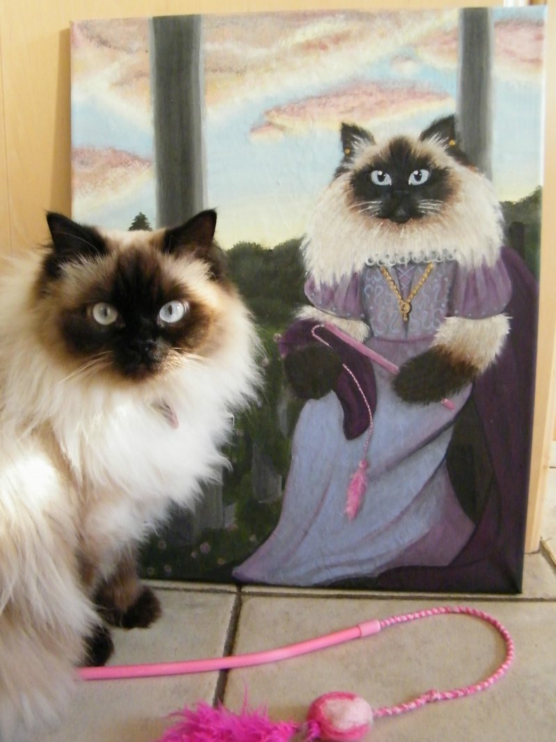 Портрет кошки в средневековом стиле