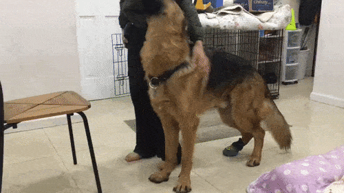 Когда покорился своей судьбе